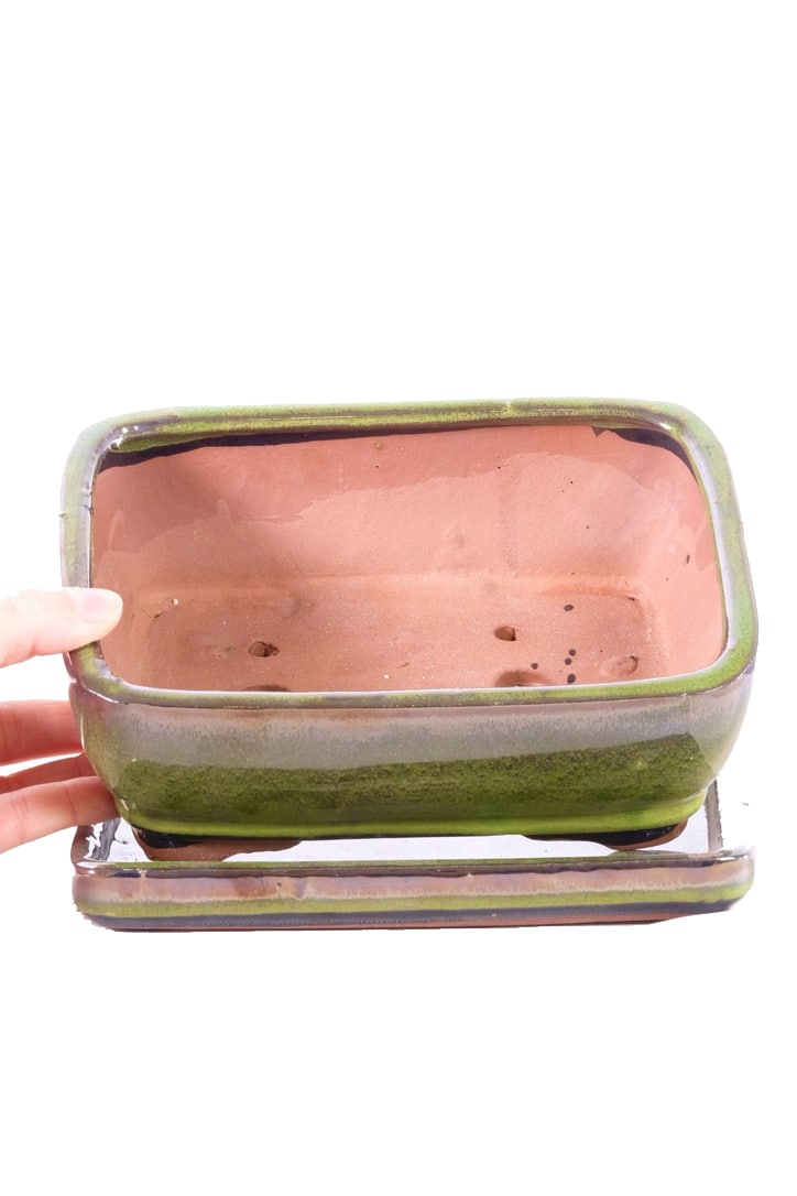 A pretty rectangular bonsai pot & tray for sale in apple green glaze