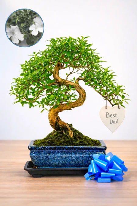 Personalised Father’s Day Gifts That Truly Stand Out