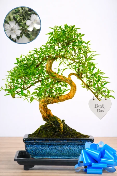 Personalised Father’s Day Gifts That Truly Stand Out