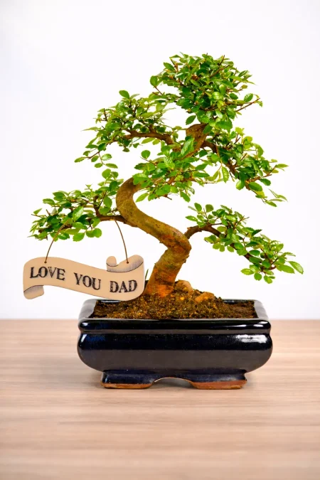 Love you dad - Fathers day gift