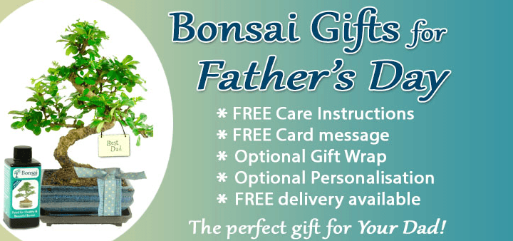 Bonsai tree gifts for Father's Day