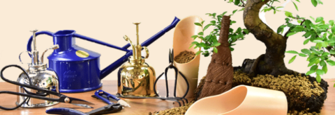 Bonsai tree tools
