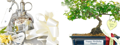 Occasions to gift a bonsai tree