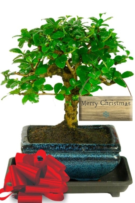 Best Christmas Gift with Snowflake Tag