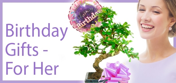 Bonsai Tree Birthday Gifts - For Her
