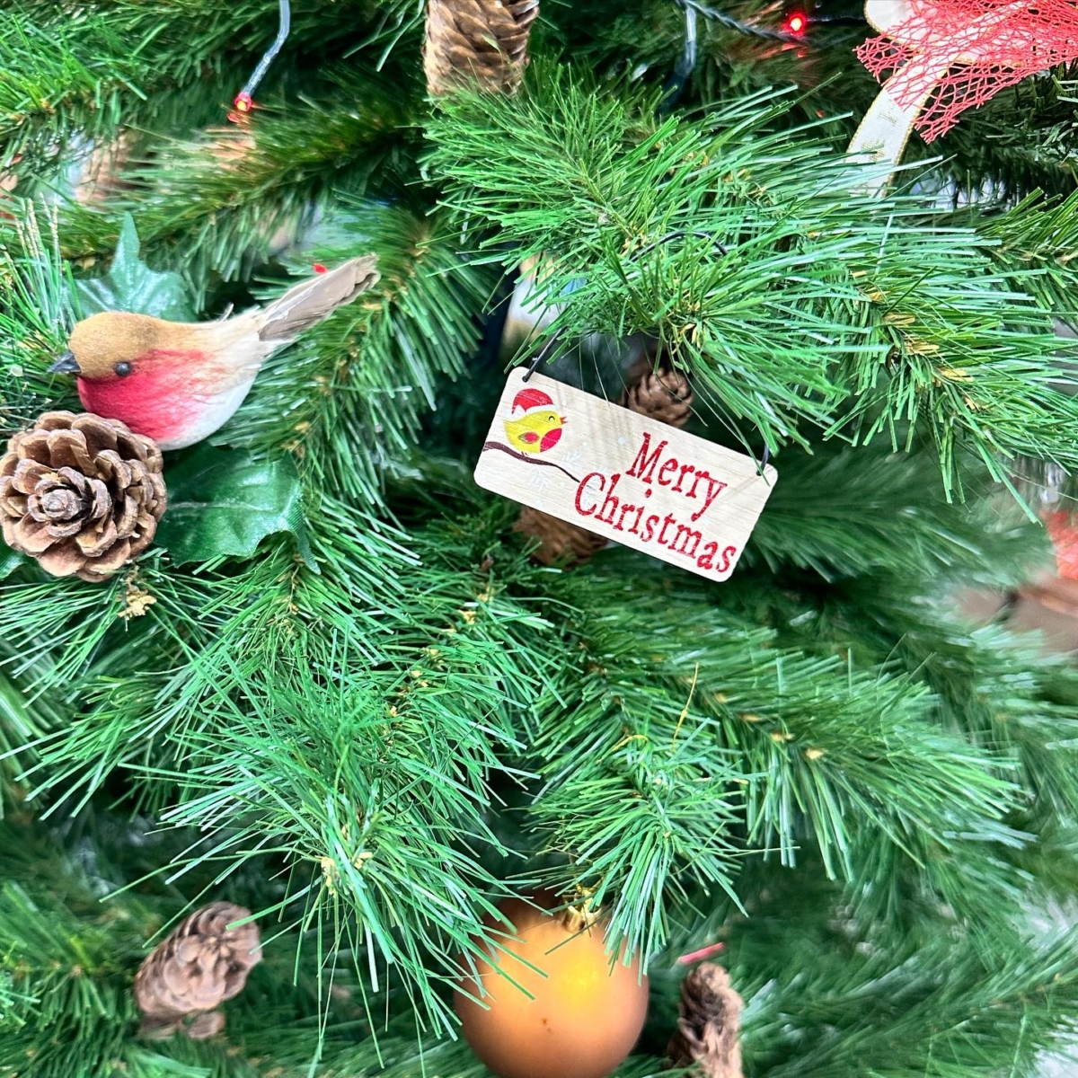 Christmas at bonsai direct - Beautiful bonsai trees