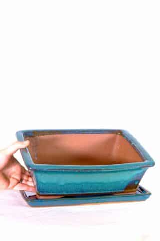 Cyan pot with matching tray and potting accessories
