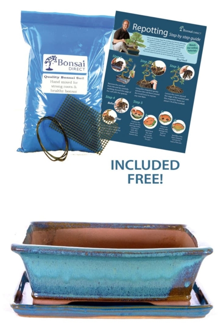 Extra large 12 inch Cyan glazed bonsai pot & tray for sale