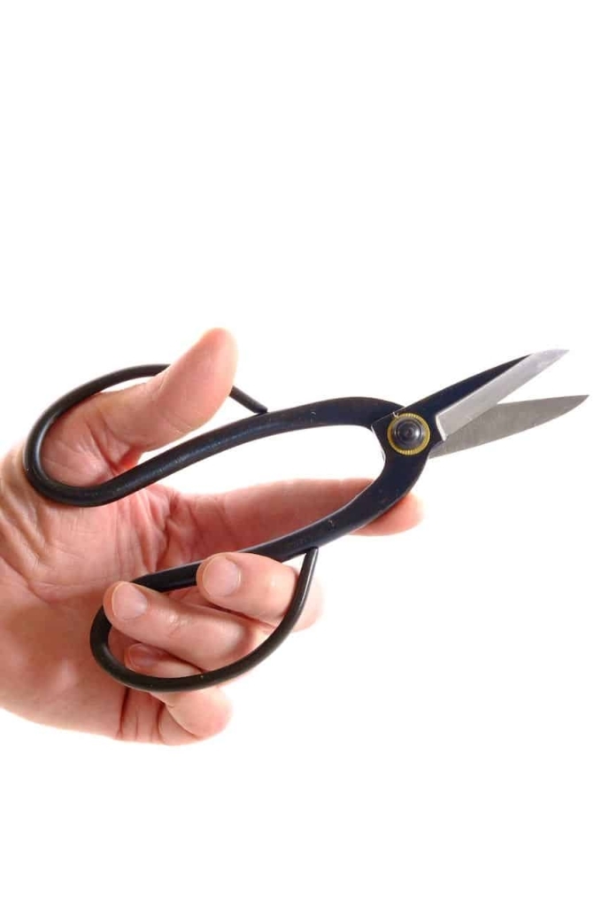 Top Quality Chinese Bonsai Twig Shears for sale