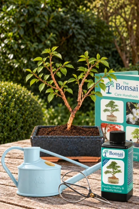Tiny Flowering Cherry Blossom Bonsai Comprehensive Kit - Flight of the Butterfly Tree in Blue Ceramic Pot