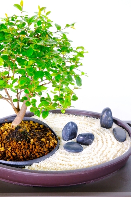 A BEAUTIFUL ROCK ZEN GARDEN OF SERENITY