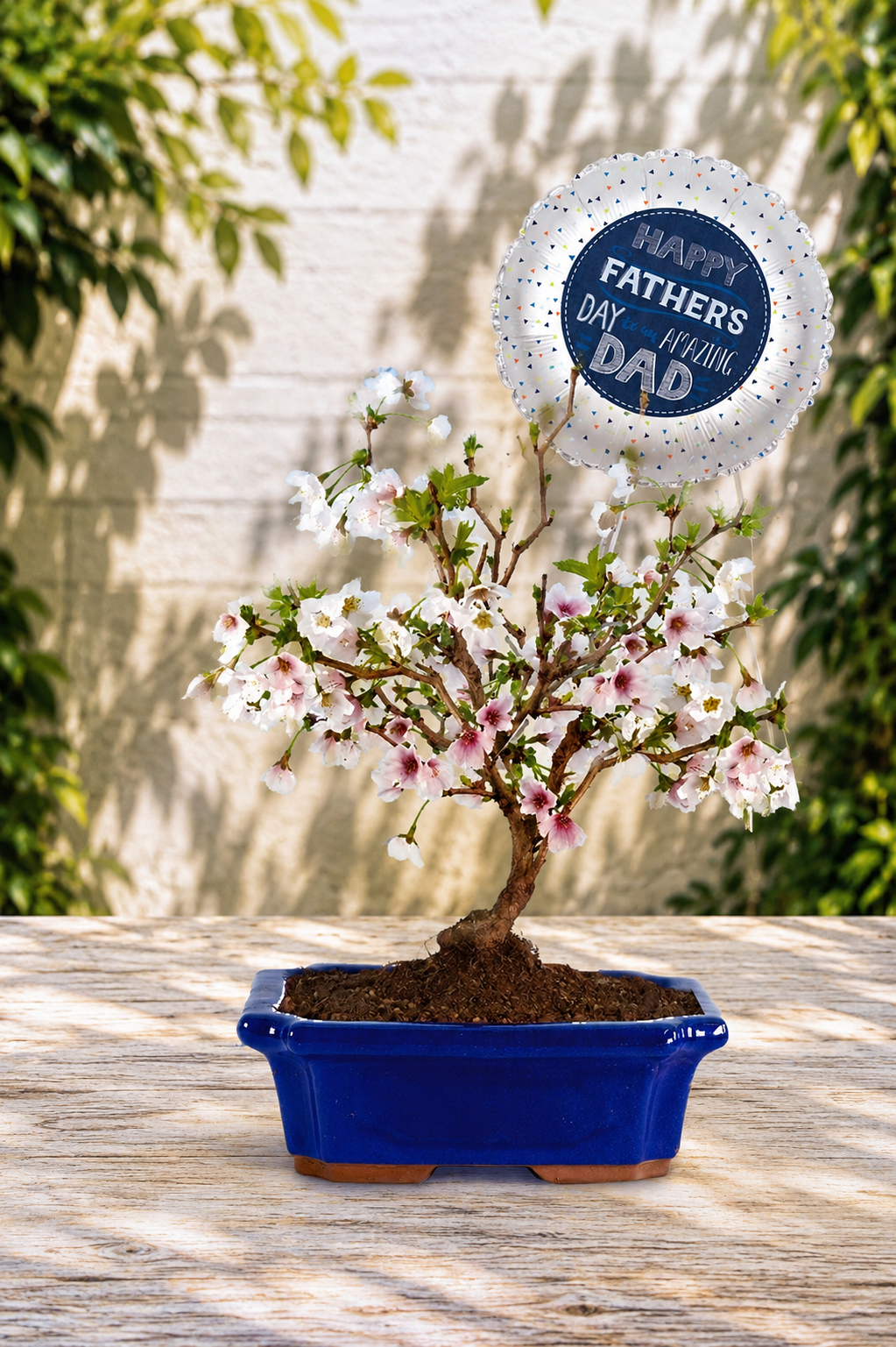 A Cherry Blossom Bonsai Father’s Day Gift He’ll Treasure