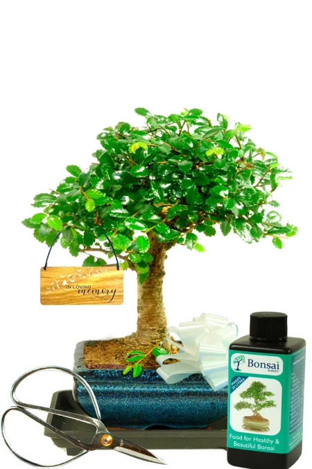 Beautiful Memorial Gifts | A Lasting Tribute That Endures