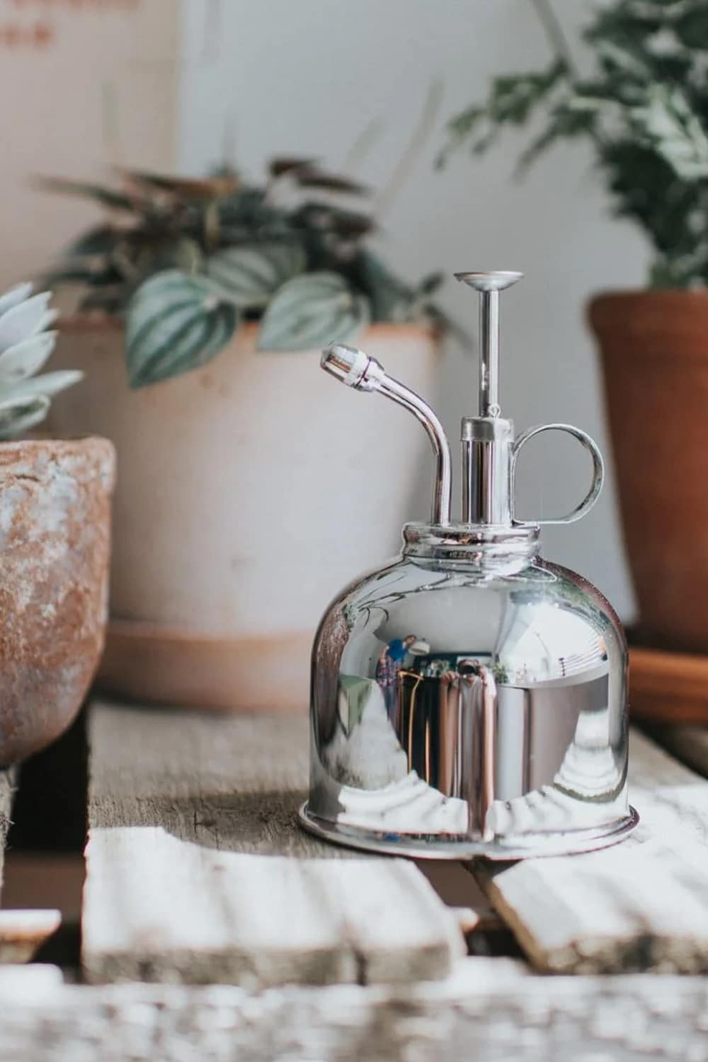 Silver finished bonsai tree mister