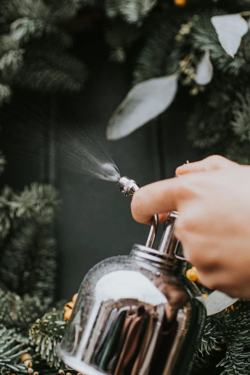 Nickel spritzer - ideal for house plants and bonsai trees