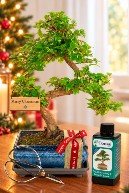 A Thoughtful Natural Christmas Gift Set