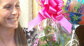 Birthday Bonsai Tree gifts