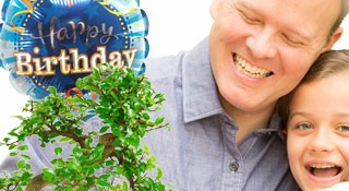 Bonsai Tree Gifts for Men