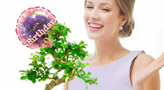 Bonsai Tree Gifts for Women