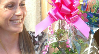 Bonsai Tree gifts for all occasions