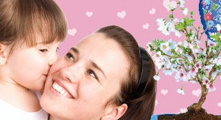 Mothers Day Bonsai Plant Gifts for sale