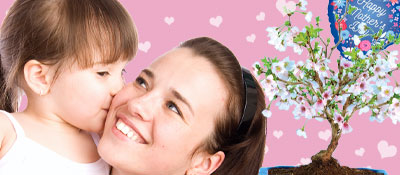 Mothers Day Bonsai Plant Gifts for sale