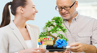 Retirement Gifts | Bonsai Tree Gifts for Retirement