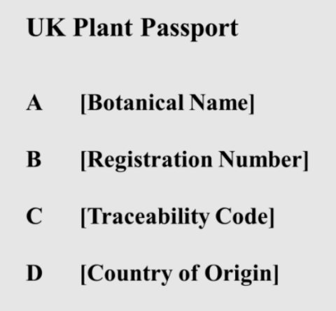 Bonsai Plant Passports: What They Mean for You