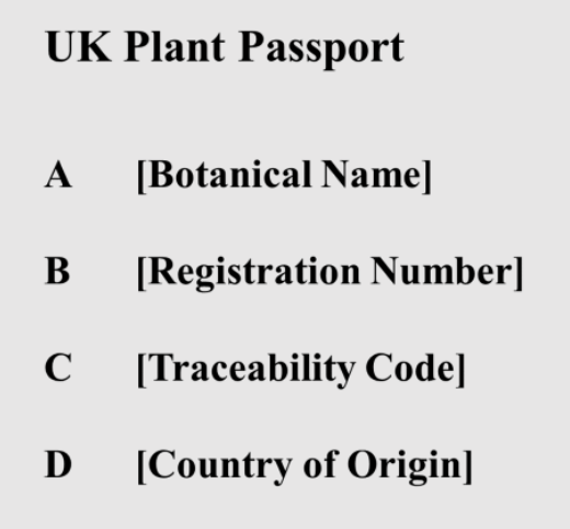 Bonsai Plant Passports: What They Mean for You