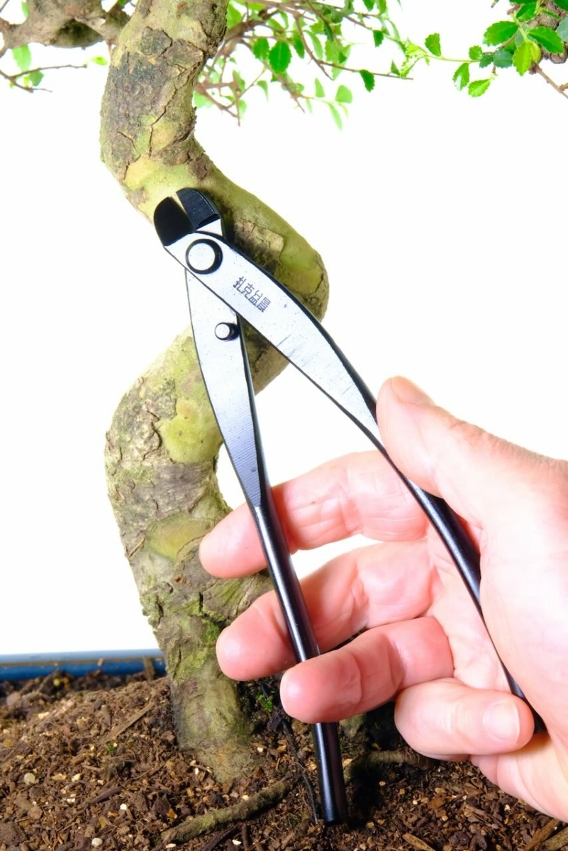 Pince à Bonsaï Forgée En Acier Au Manganèse - Longueur 200mm, Bout Rond, Pour Câblage Et écorçage