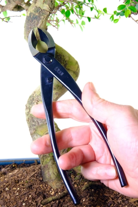 Larger 210mm bonsai branch cutters for removing branches
