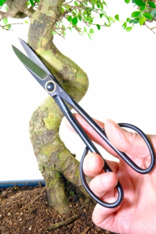 Bonsai Pruning scissors - long handled | Top quality tools
