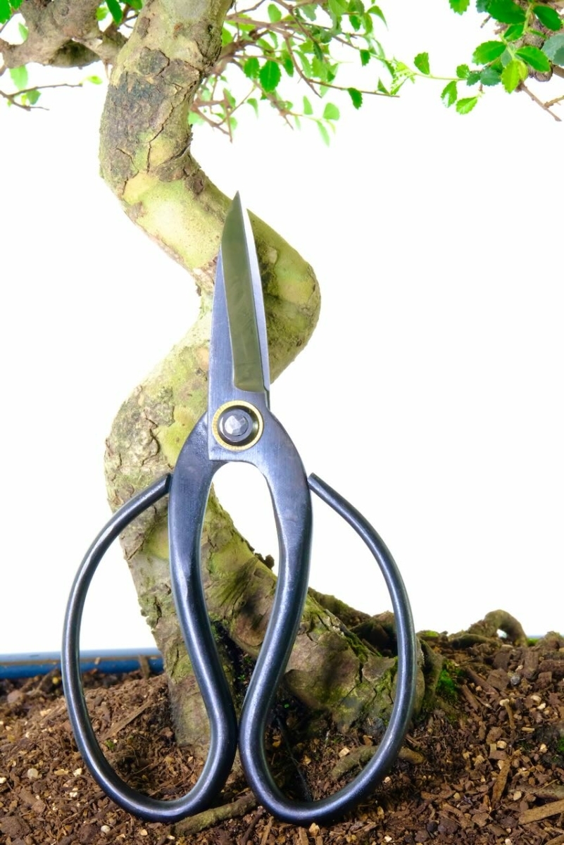 Shears for root pruning bonsai trees | High quality bonsai root shears