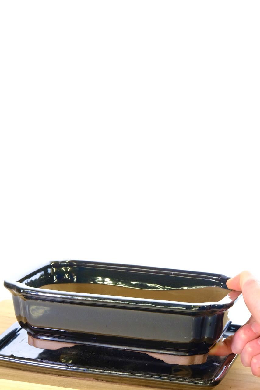 Contemporary Black shiny bonsai pot for sale UK