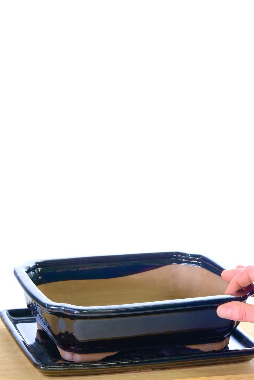 8 inch bonsai pot and tray with free delivery available