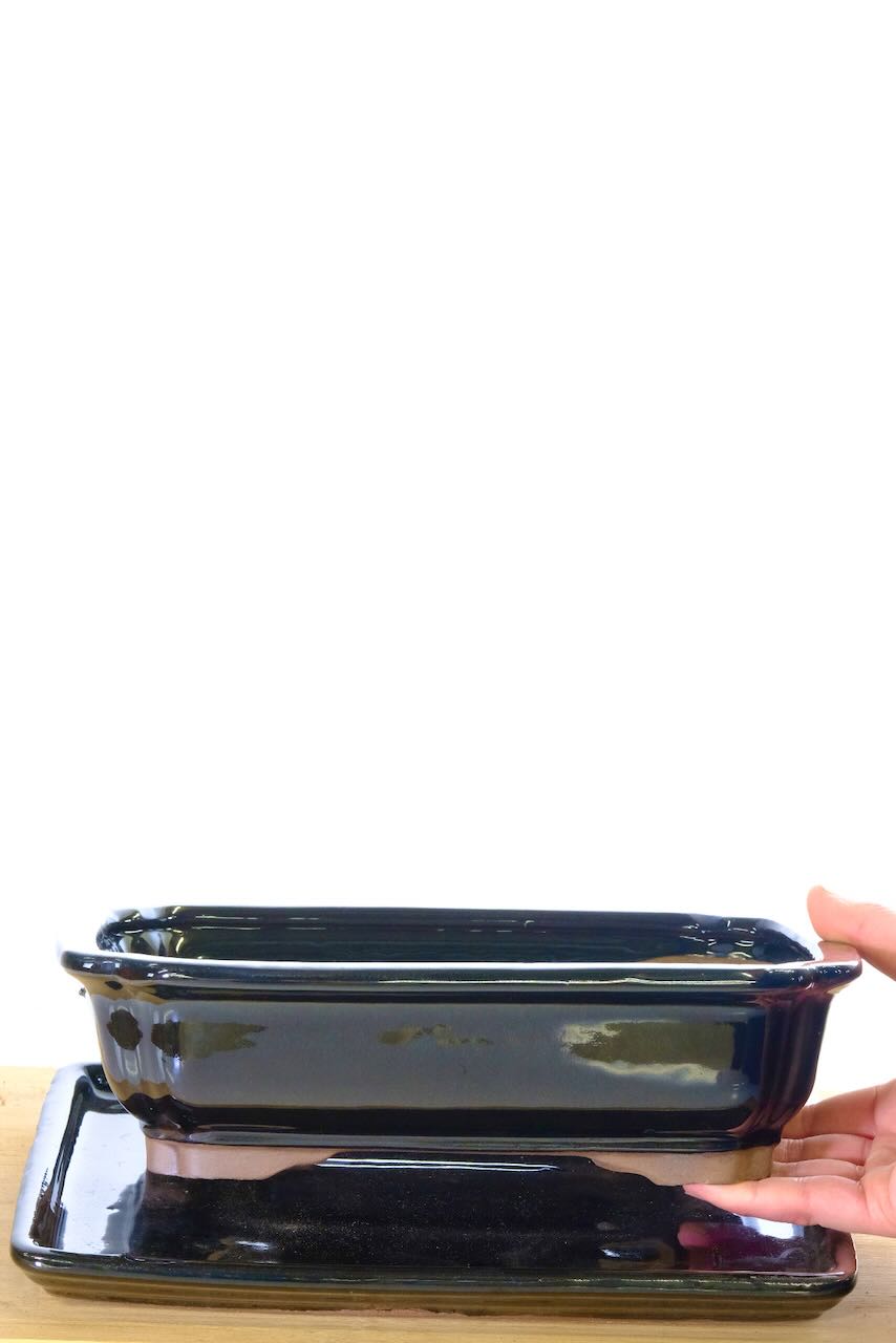 Black rectangular bonsai pot with matching drip tray in shiny black