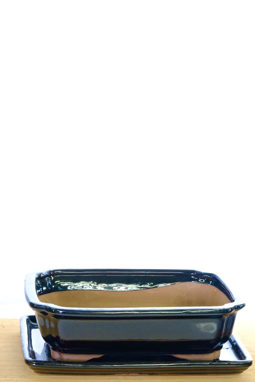 Choose the delivery date of the bonsai pot at the checkout