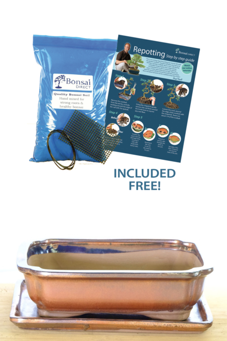 Bronze ceramic bonsai pot for sale with matching drip tray | FREE delivery available