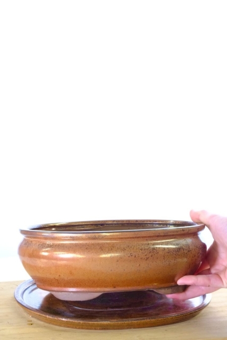 Quality bonsai pot for sale with FREE delivery available