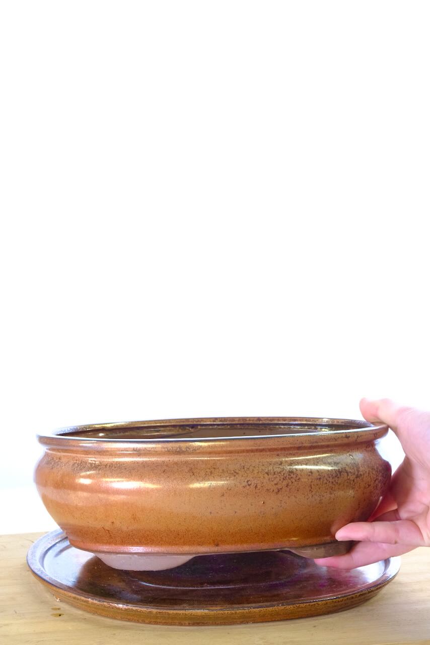 Quality bonsai pot for sale with FREE delivery available