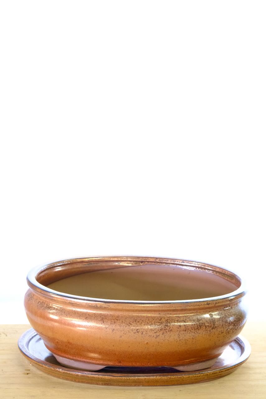 Perfect for repotting your indoor bonsai trees