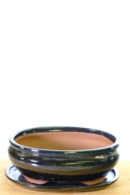 Oval 10 inch ceramic bonsai pot - A choice option for repotting your bonsai tree