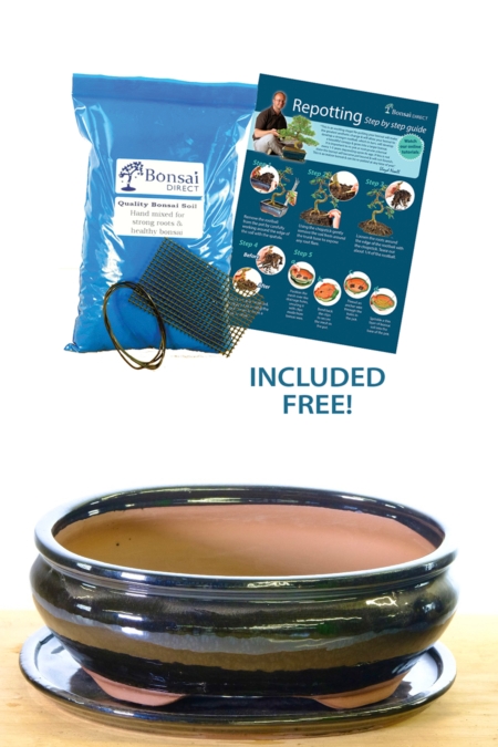 Sleek Black oval ceramic bonsai pot with matching tray