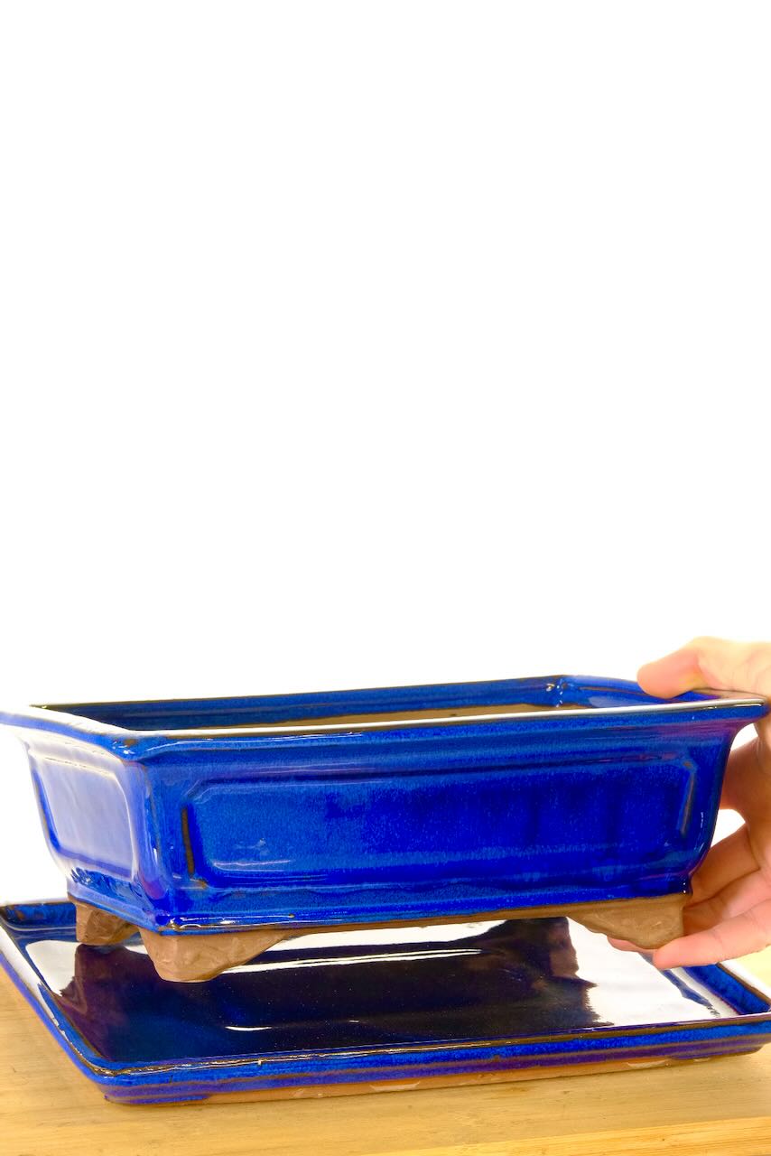 Panelled pot design | Rich Royal blue - 2 sizes available