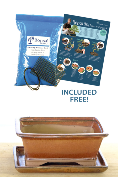 Rectangular bonsai pot in cheerful yet neutral bronze