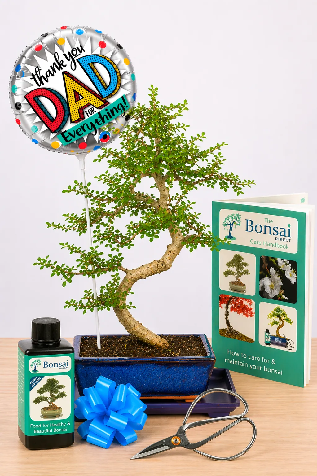 Gifts for Dads Who Have Everything – An Aromatic Bonsai with Character