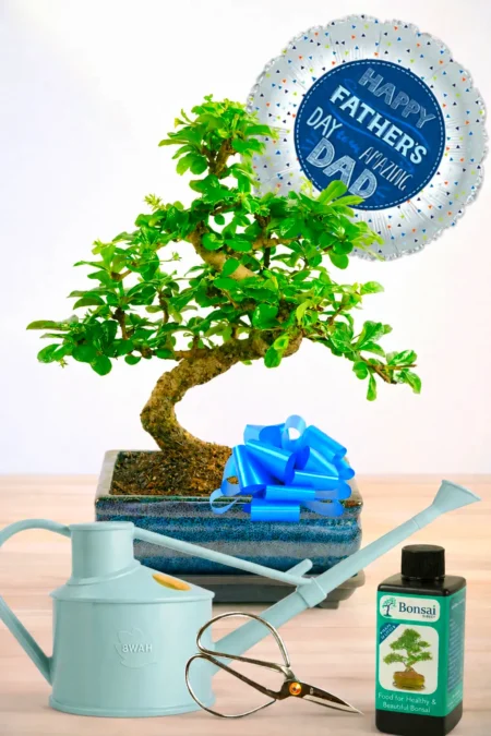 Last-Minute Father’s Day Gifts That Feel Thoughtful, Not Rushed