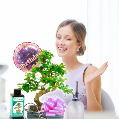 Bonsai Gifting Advisor Amber