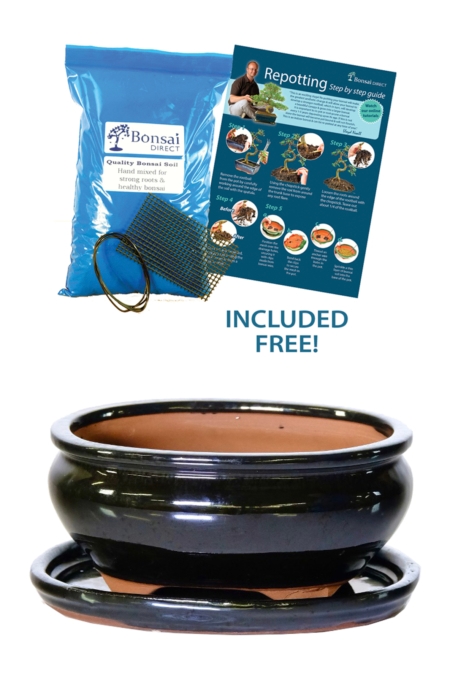 Glossy black oval ceramic bonsai pot - small 6 inch size