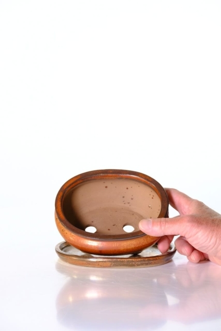 FREE delivery of this small tasteful bonsai pot to most of the UK